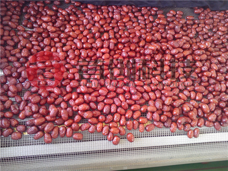 紅棗烘干機(jī)價格.jpg